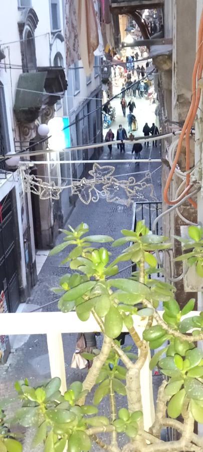 Appartement Casa San Biagio 1964 Spaccanapoli Extérieur photo